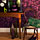 photo3